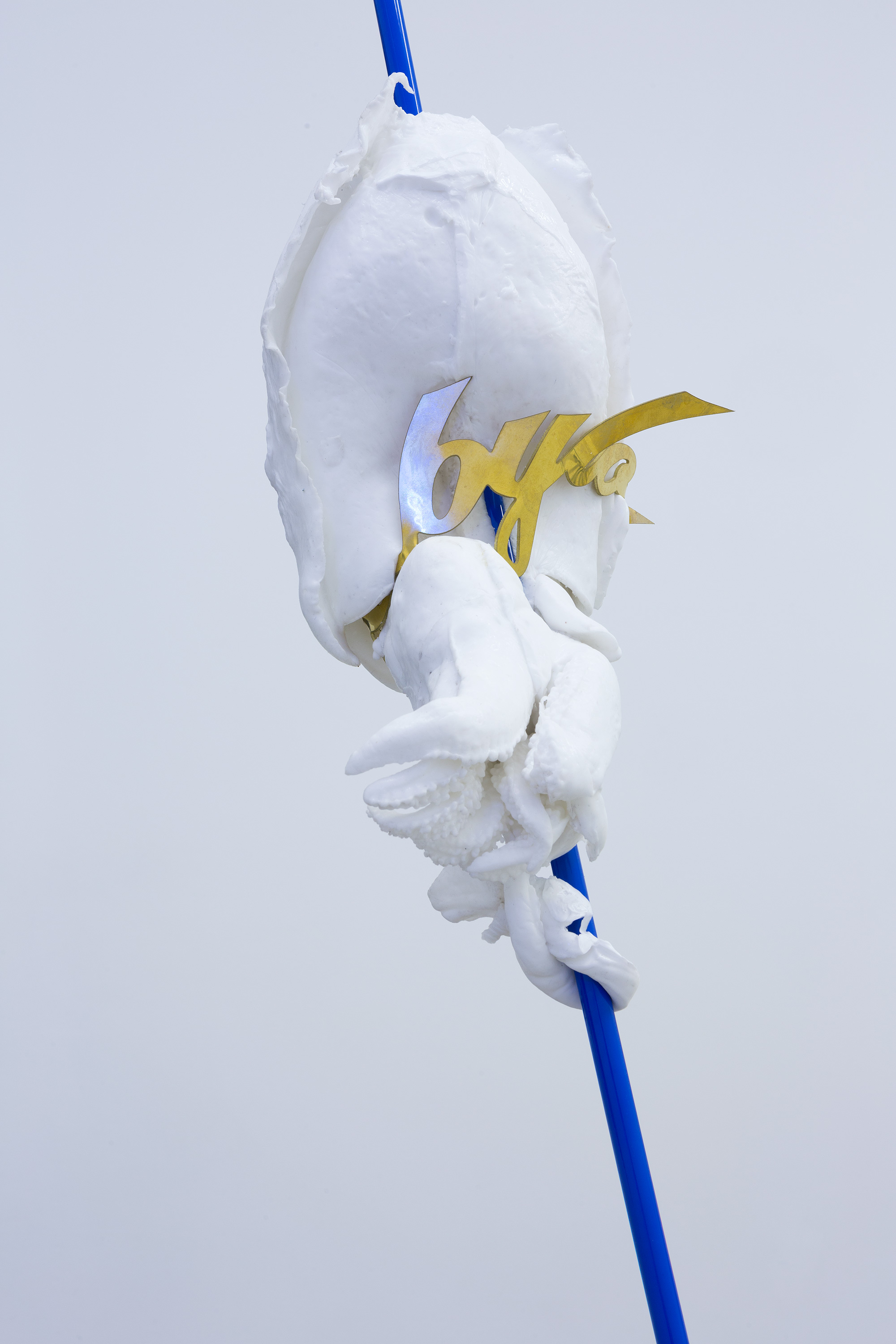 "Sculpture for corporate HQ - Babylon cuttlefish", 2016, brass, powder coated steel, Gel 10 silicone, pigment, dimensions variable
