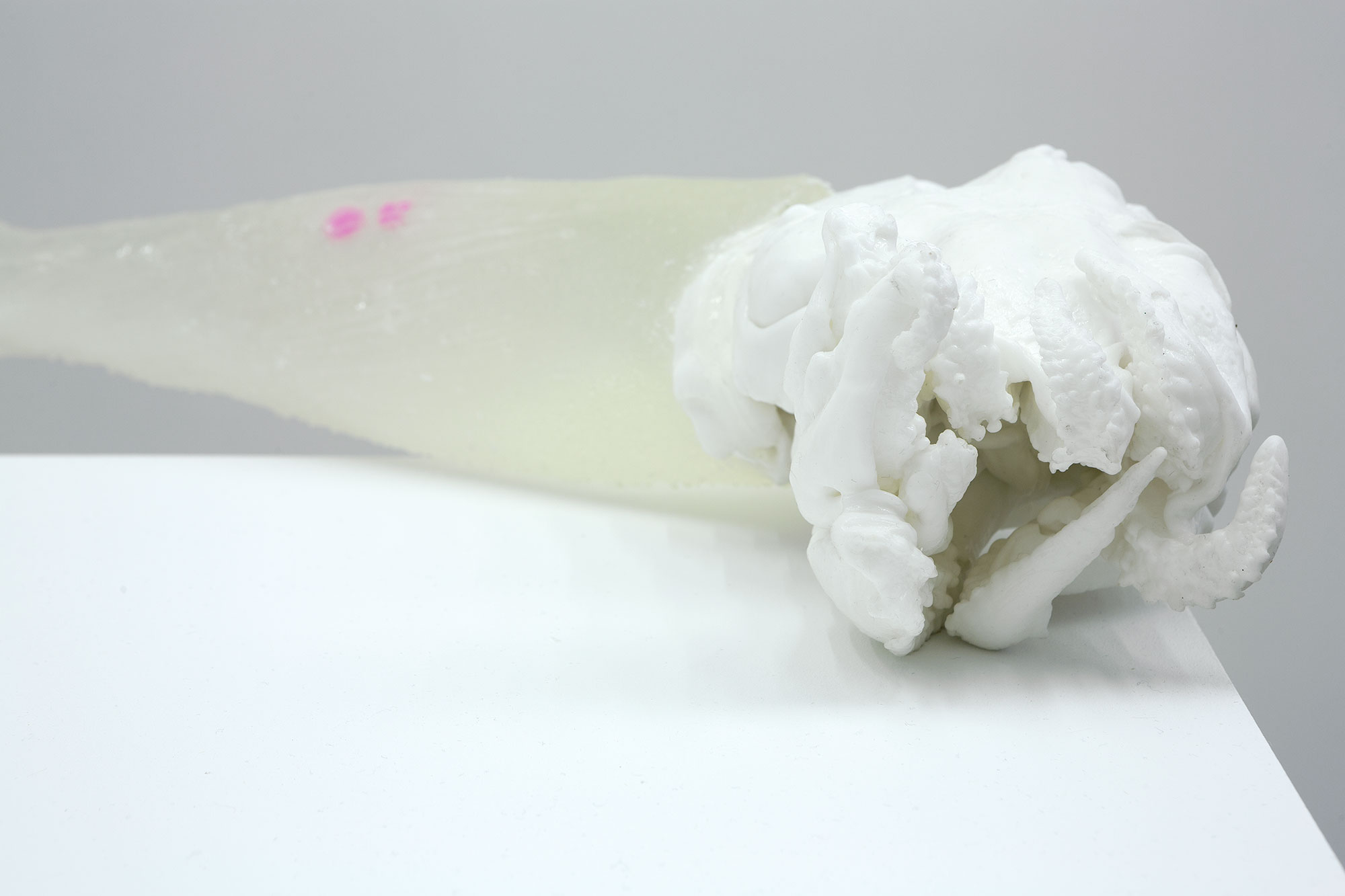"Everything we’ve worked for - www.youtube.com/watch?v=X85jy2w97-A" (detail), 2016, Gel 10 silicone, alginate, water, epoxy resin, pigment, dimensions variable