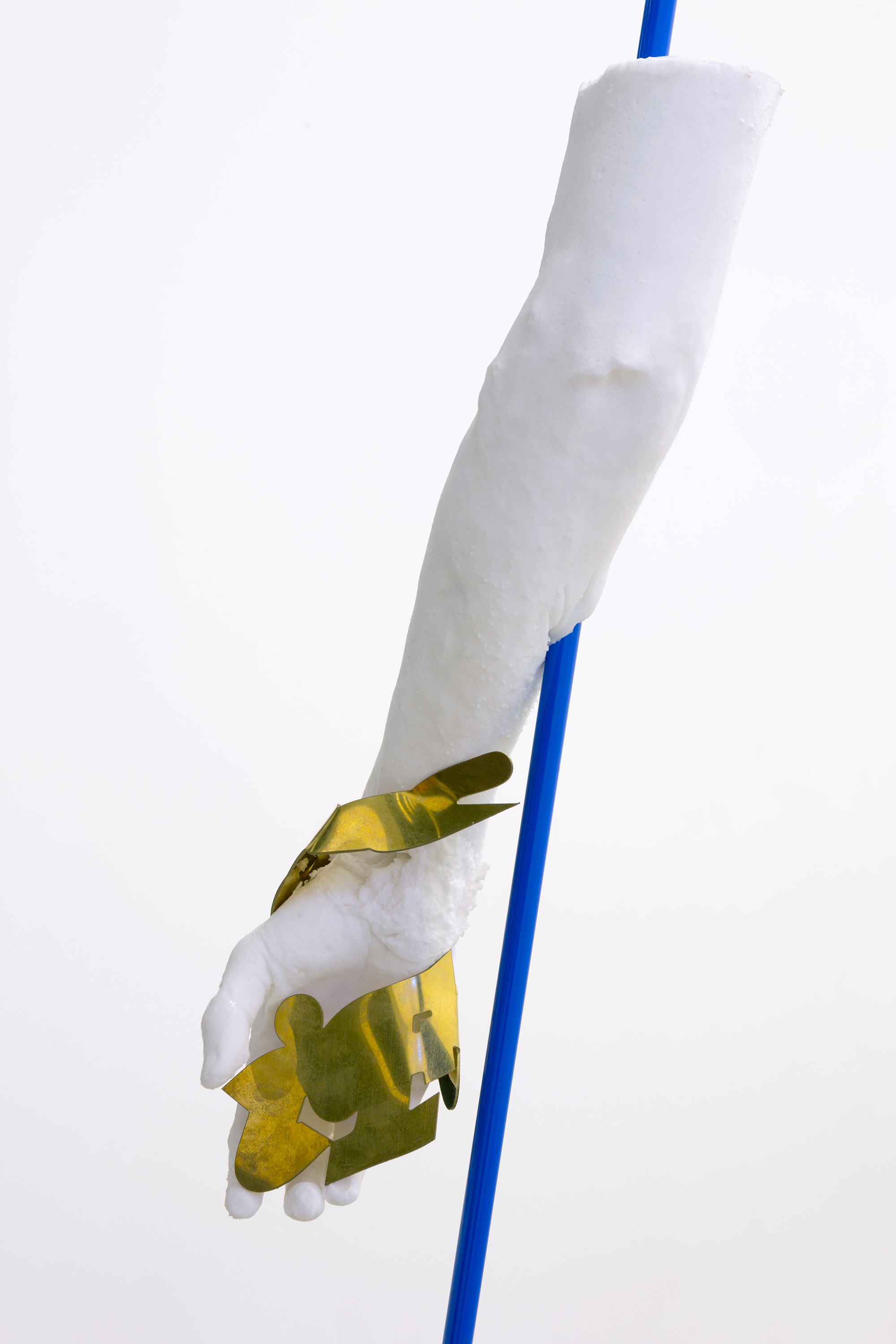 "Sculpture for corporate HQ - iFucked human arm", 2016, brass, powder coated steel, Gel 10 silicone, pigment, dimensions variable
