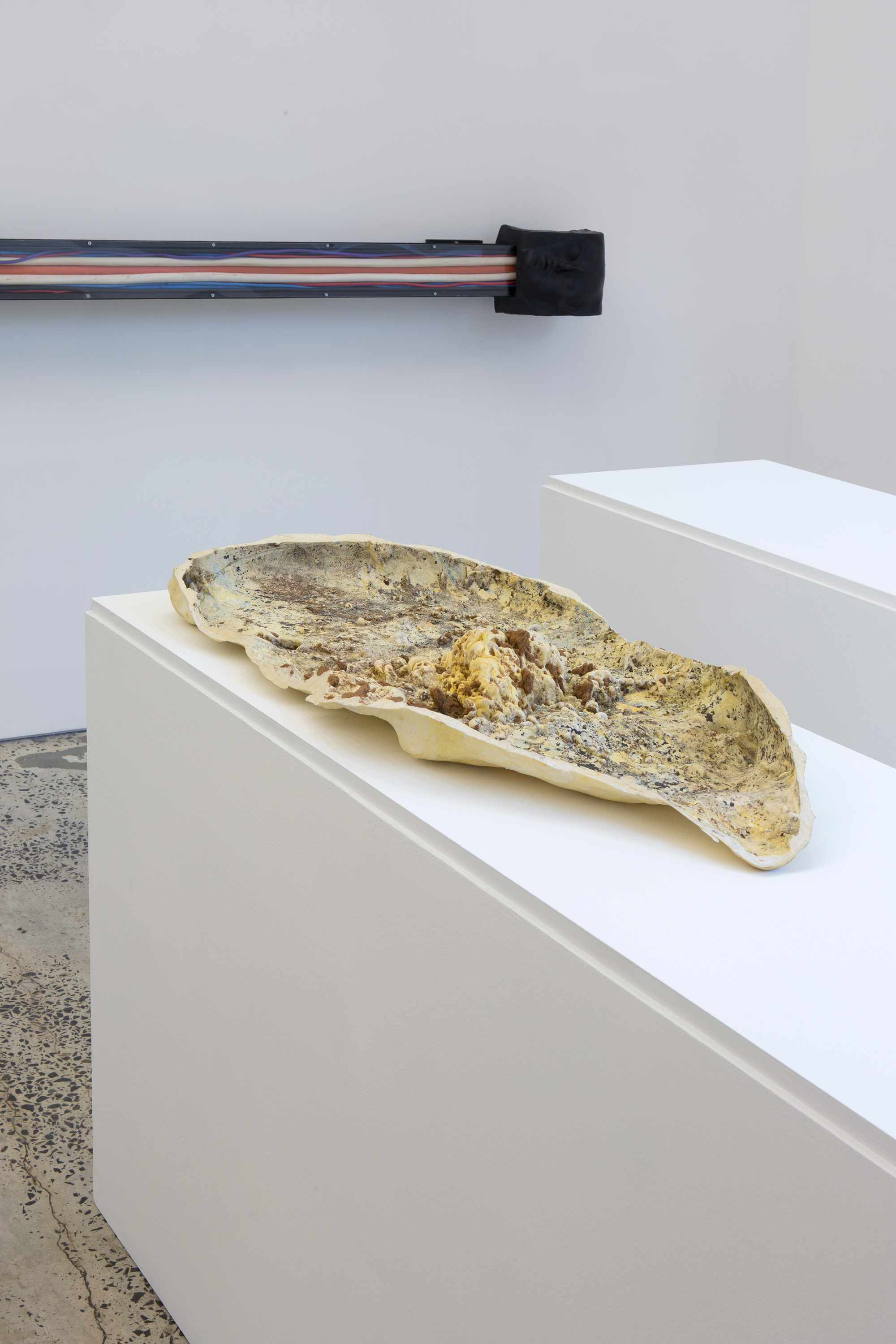 Lupo Borgonovo, “Maialito”, 2014, silicone rubber, pigments, 600 × 300 × 950 mm, Courtesy the artist