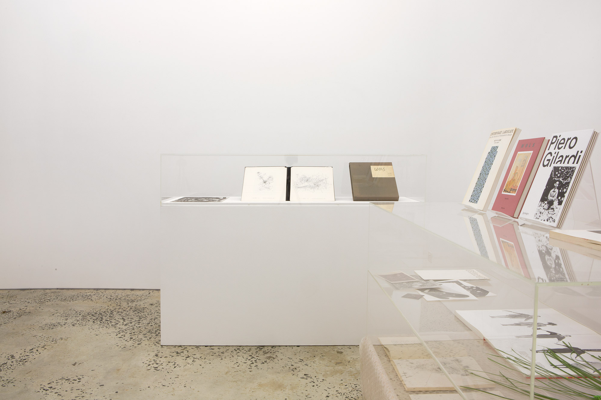 “Habitat” (with World Food Books) curated by Joshua Petherick & Matt Hinkley, installation view, Minerva, Sydney, 15 November – 20 December, 2014