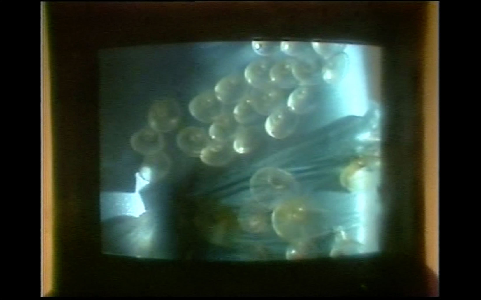 Cinzia-Ruggeri, "Per un Vestire organico", 1983, documentation of performance, milano, 1983, courtesy of the artist.